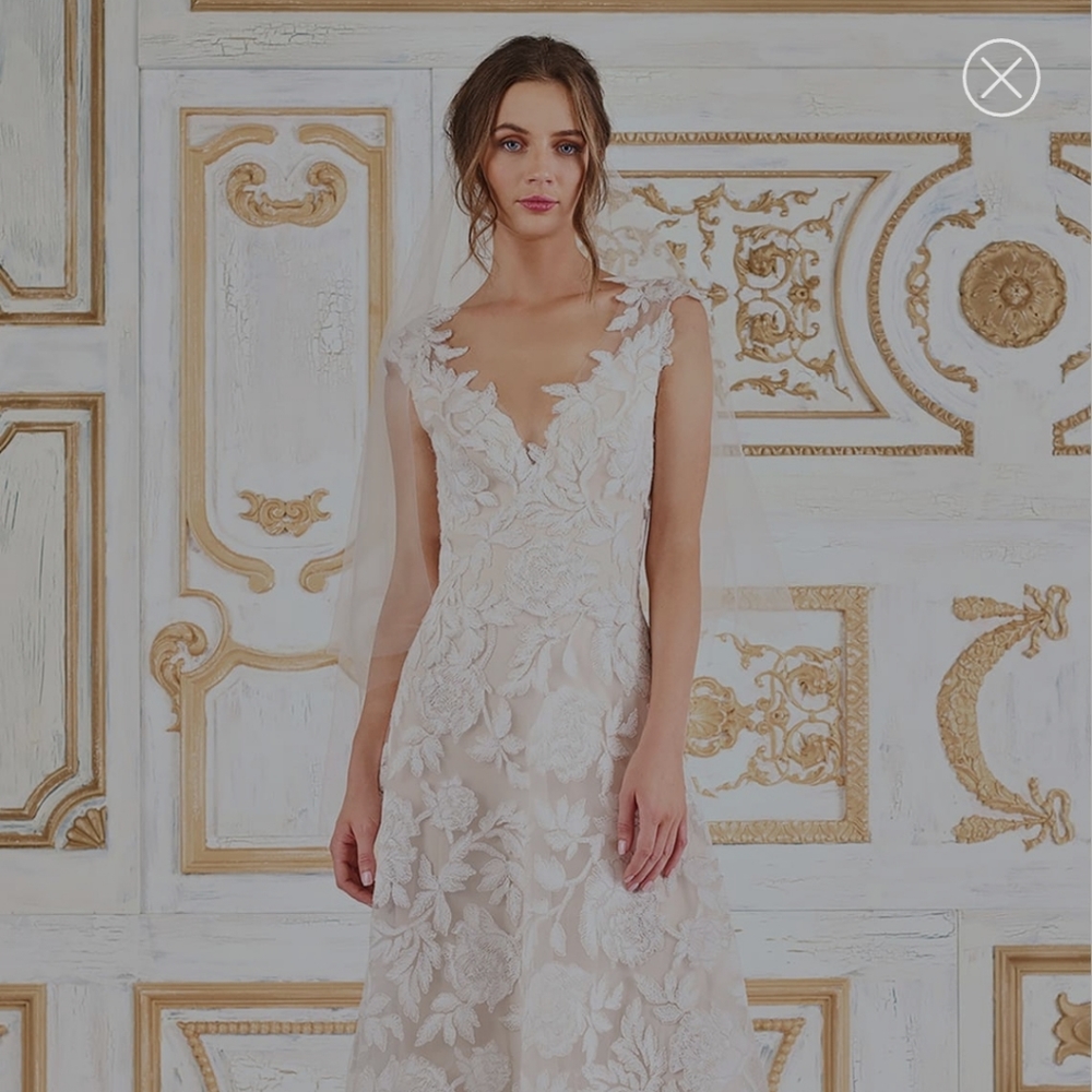 Tadashi Shoji Cecilia Wedding Gown